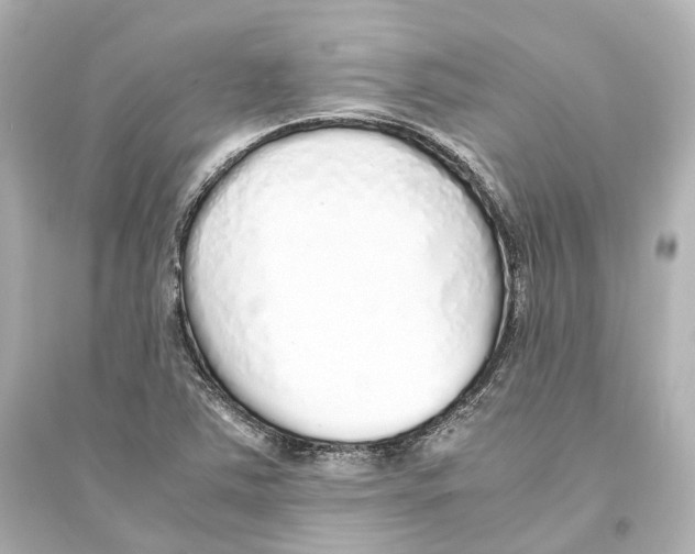 X0000093771363200711131202