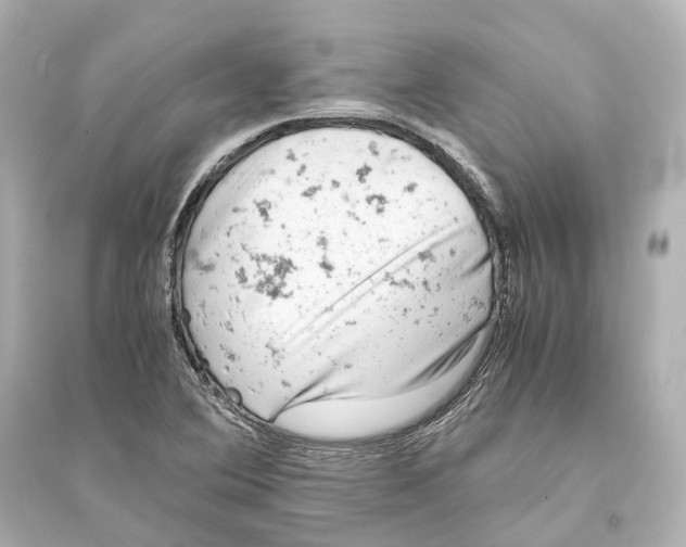 X0000093771364200711131202