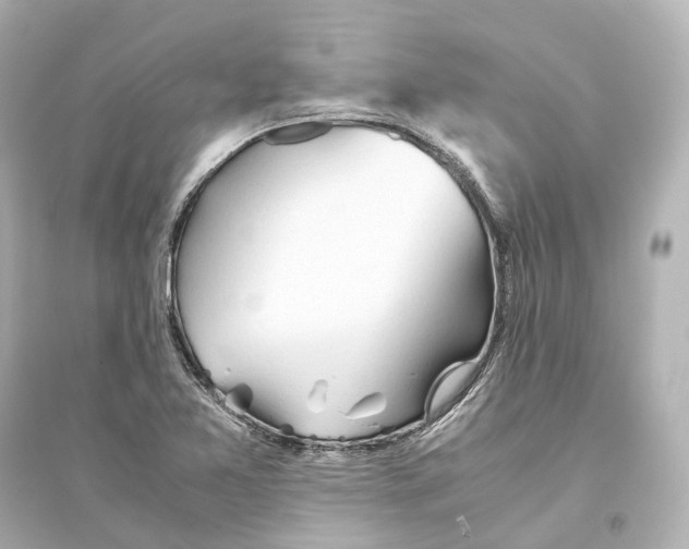 X0000093771365200711131202