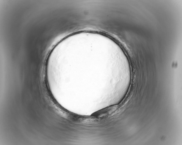 X0000093771367200711131202