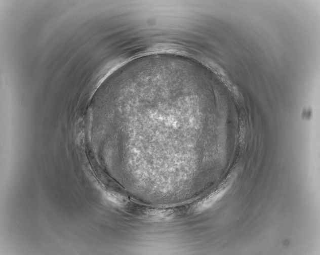 X0000093771369200711131202