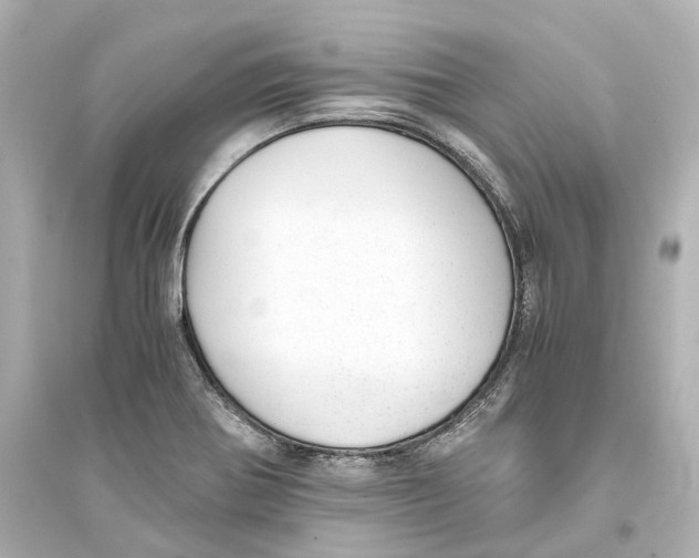 X0000093771370200711131202