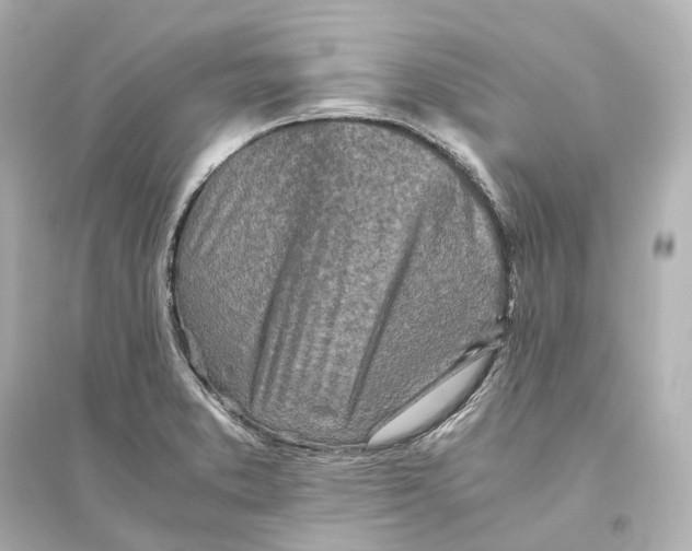 X0000093771373200711131202