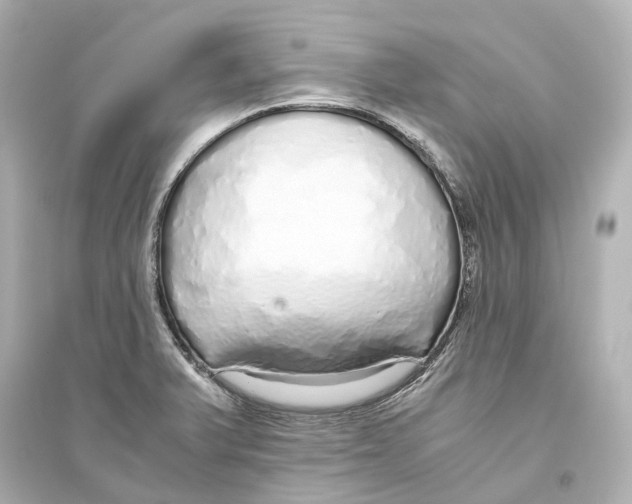 X0000093771375200711131202