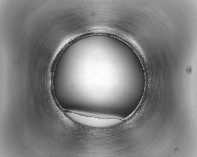 X0000093771376200711131202