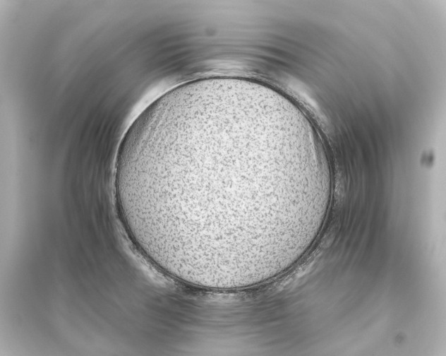 X0000093771378200711131202