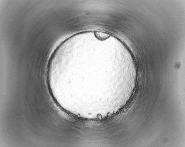 X0000093771379200711131201