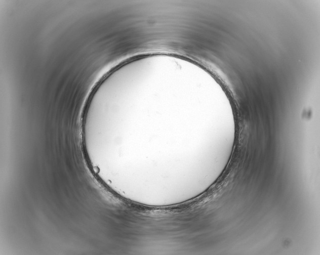 X0000093771380200711131201