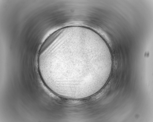 X0000093771382200711131201