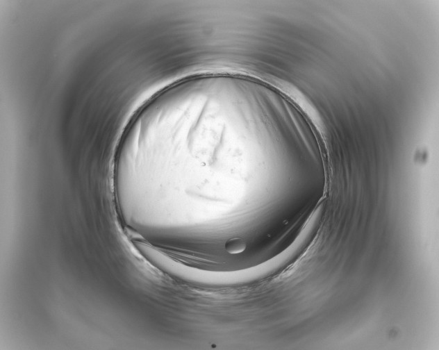 X0000093771388200711131201