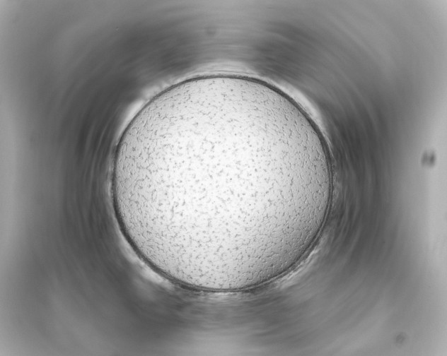 X0000093771390200711131201