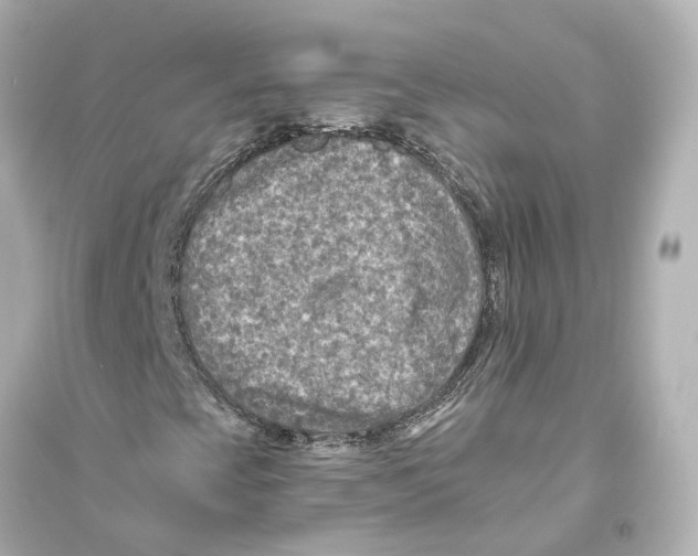 X0000093771393200711131201