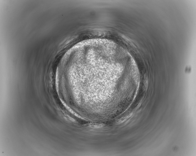 X0000093771394200711131201