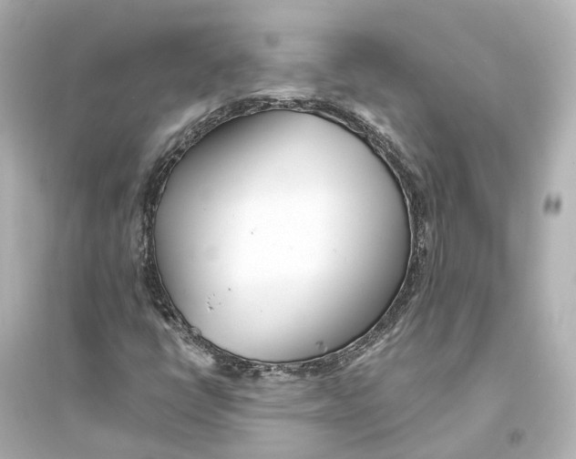 X0000093771398200711131201