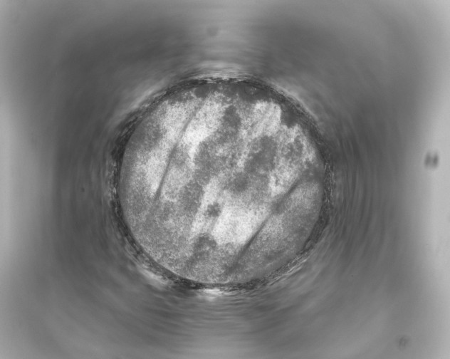 X0000093771399200711131201