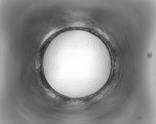 X0000093771400200711131201