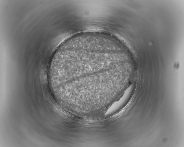 X0000093771401200711131201