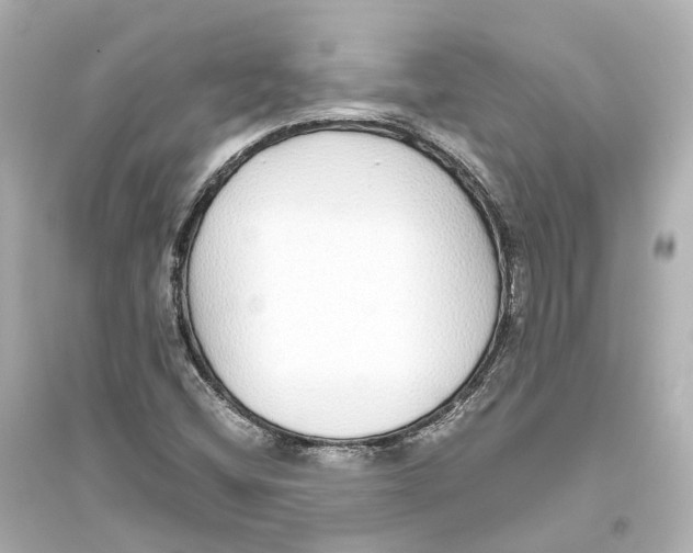 X0000093771404200711131201