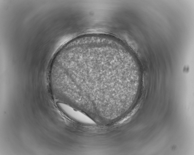 X0000093771405200711131201