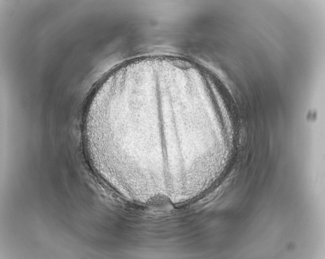 X0000093771407200711131201