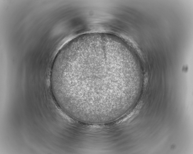 X0000093771409200711131201