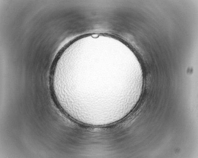 X0000093771412200711131201