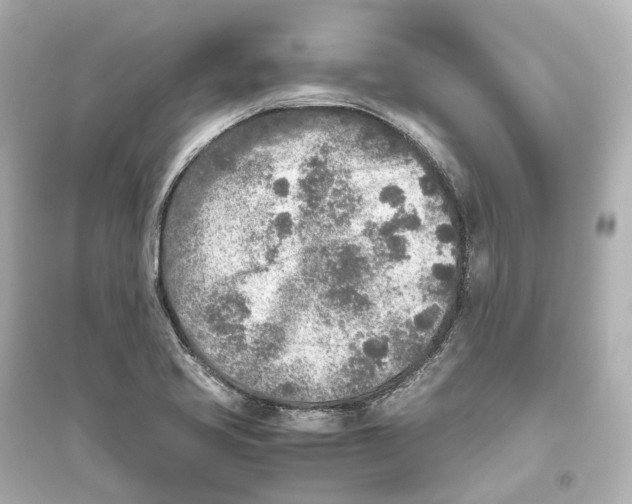 X0000093771413200711131201