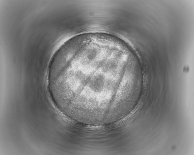 X0000093771415200711131201