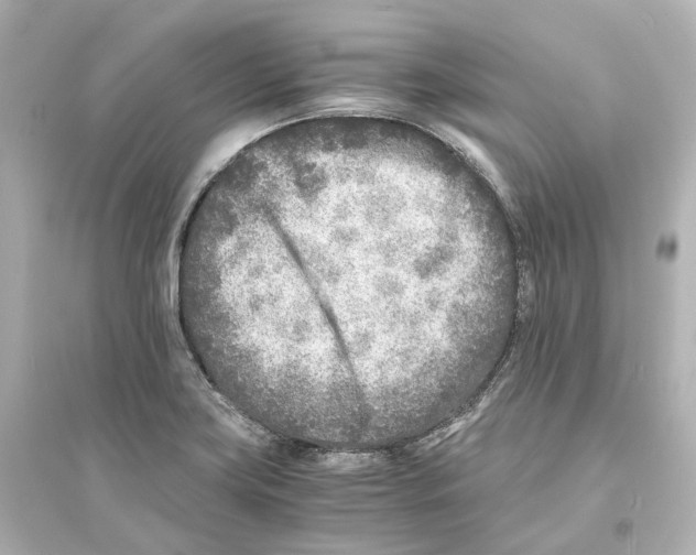 X0000093771419200711131201