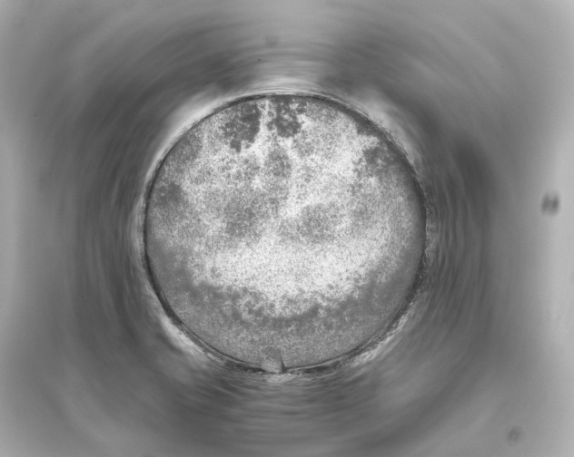 X0000093771421200711131201