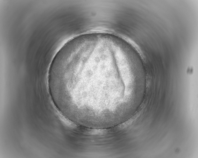 X0000093771423200711131201