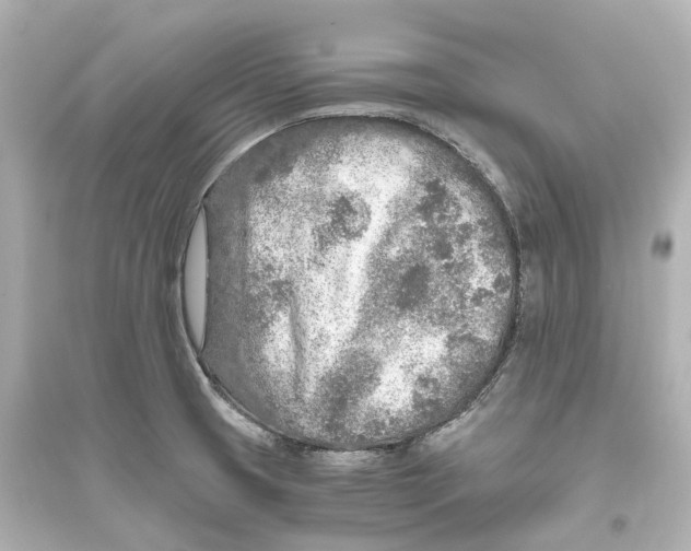 X0000093771425200711131201