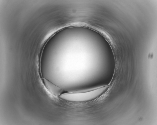 X0000093771430200711131201