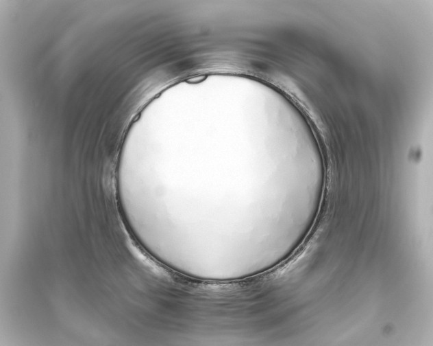 X0000093771433200711131201