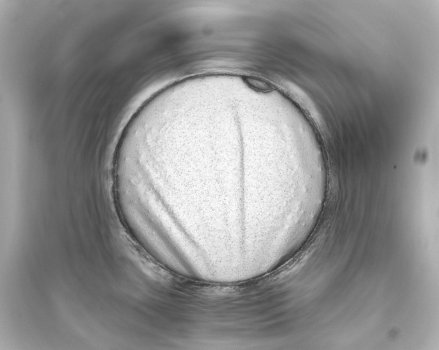 X0000093771435200711131201