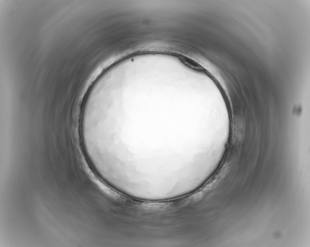 X0000093771437200711131201