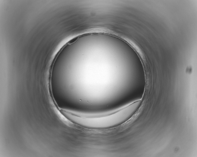 X0000093771438200711131201