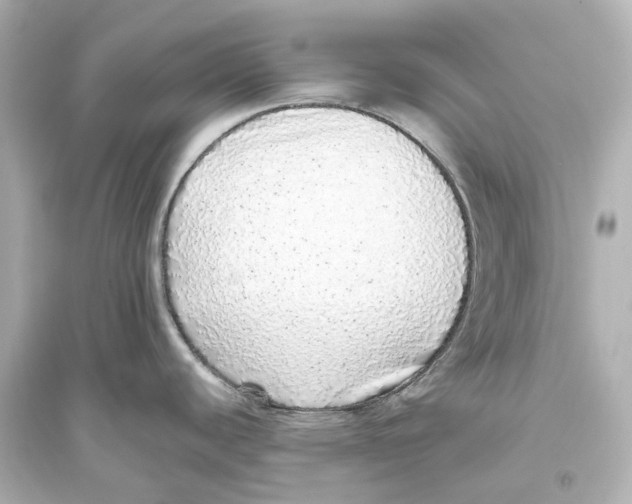 X0000093771440200711131201