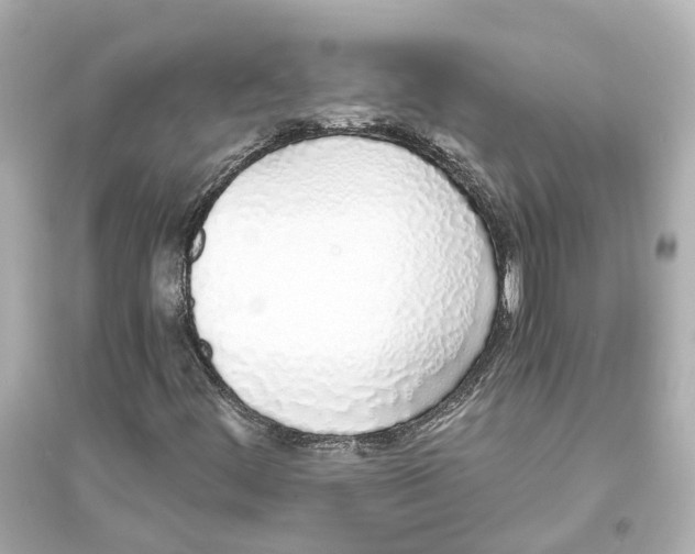 X0000093771444200711131201