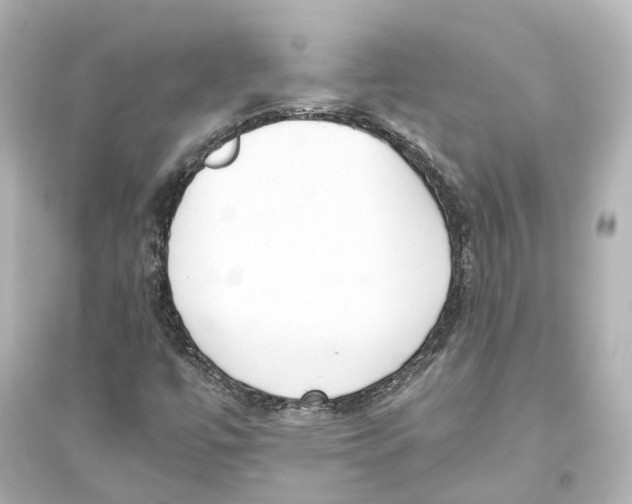 X0000093771447200711131201