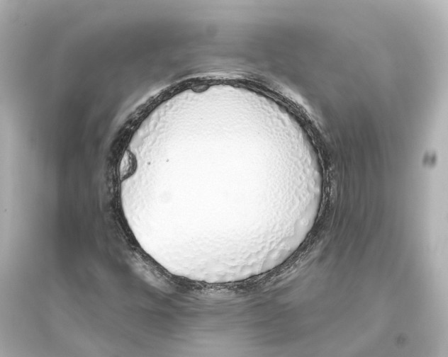 X0000093771448200711131201