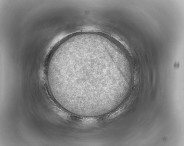 X0000093771454200711131200