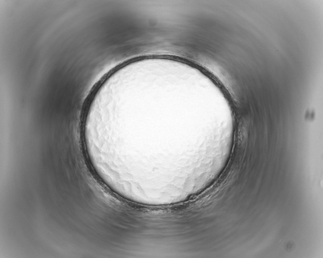 X0000093771460200711131200