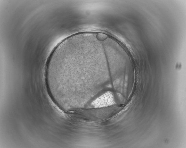 X0000093771463200711131200