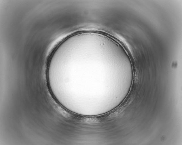 X0000093771464200711131200