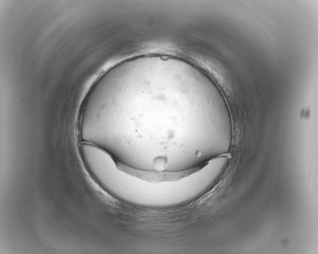 X0000093771471200711131200