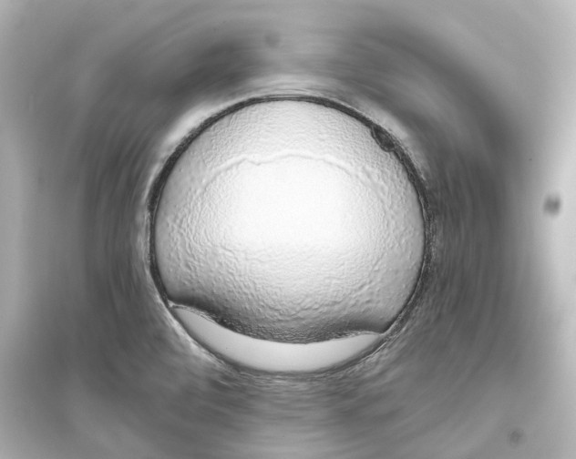 X0000093771472200711131200