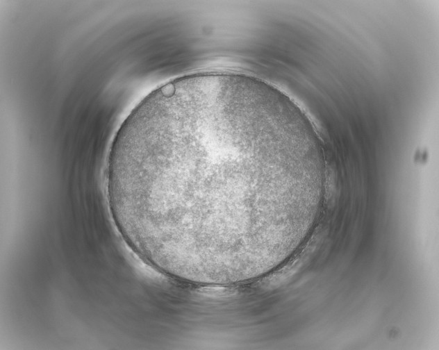 X0000093771478200711131200