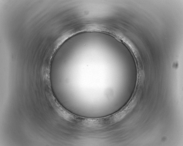 X0000093771481200711131200