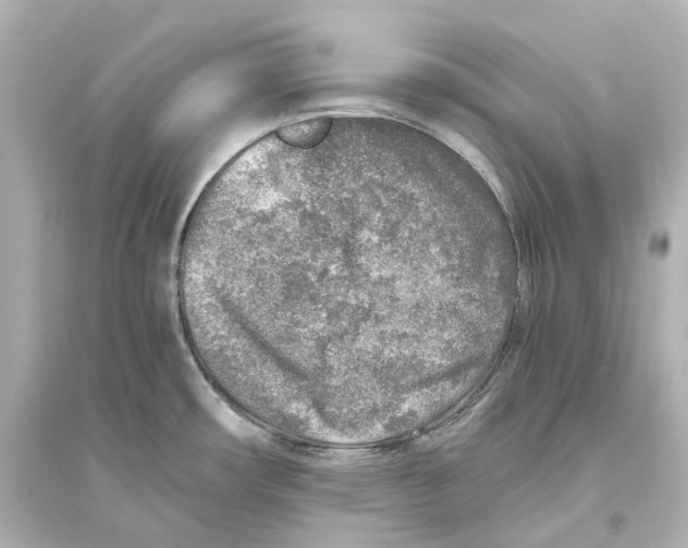 X0000093771482200711131200